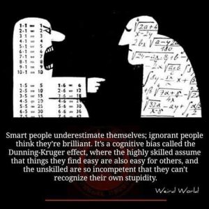 IMG_2349